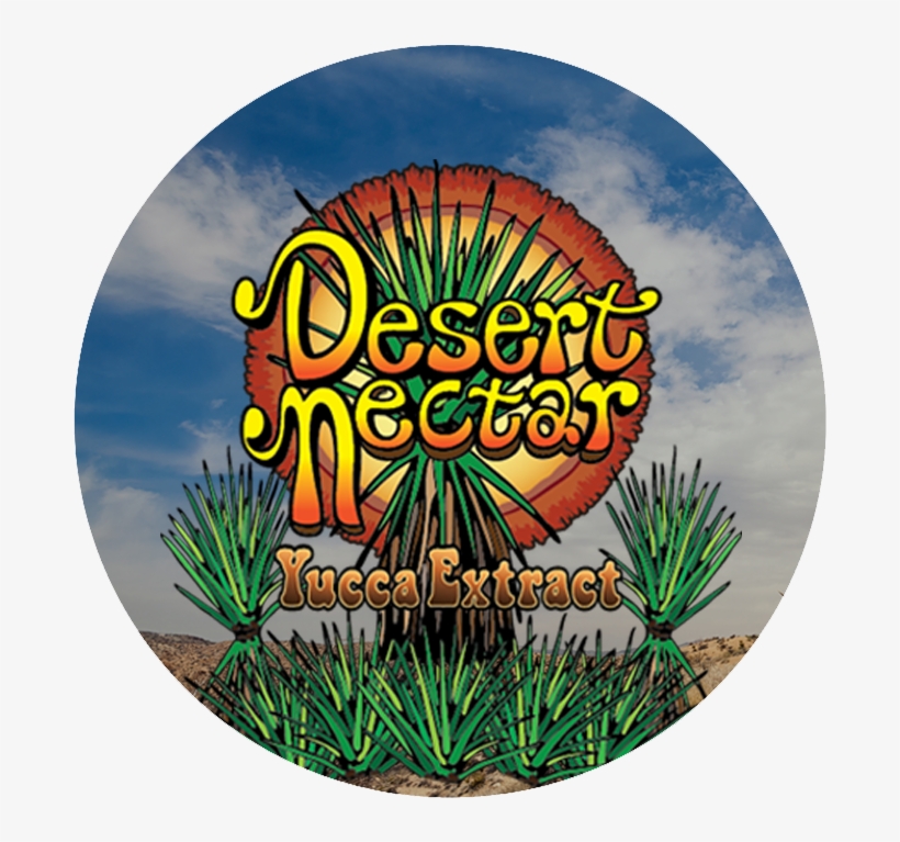 Click Here For More Info - Circle, transparent png download