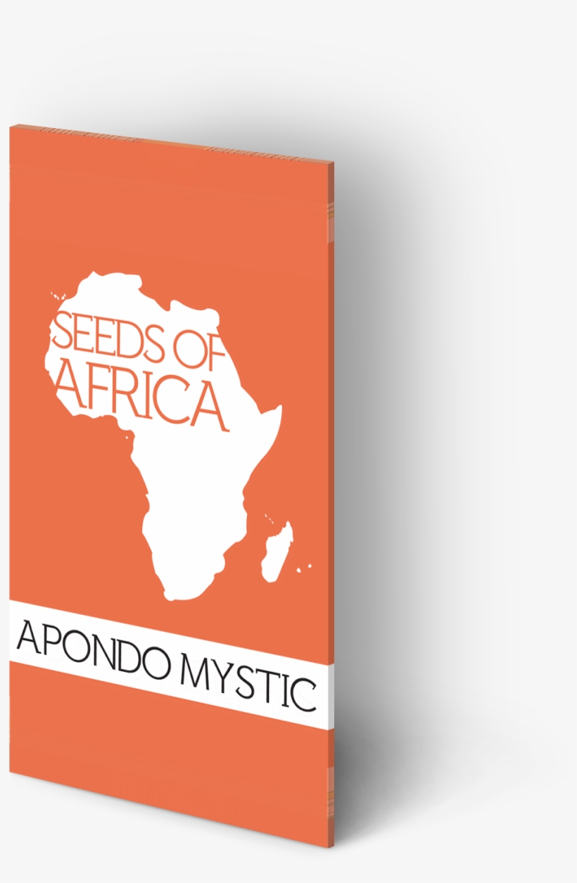 Home>pack Of 12>apondo Mystic - Durban, transparent png download