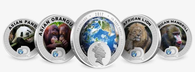 Discovery Channel Discovery Channel Silver Coins - 13 Inch Laptop Sleeve Panda Bear Playing Bamboo Flute, transparent png download