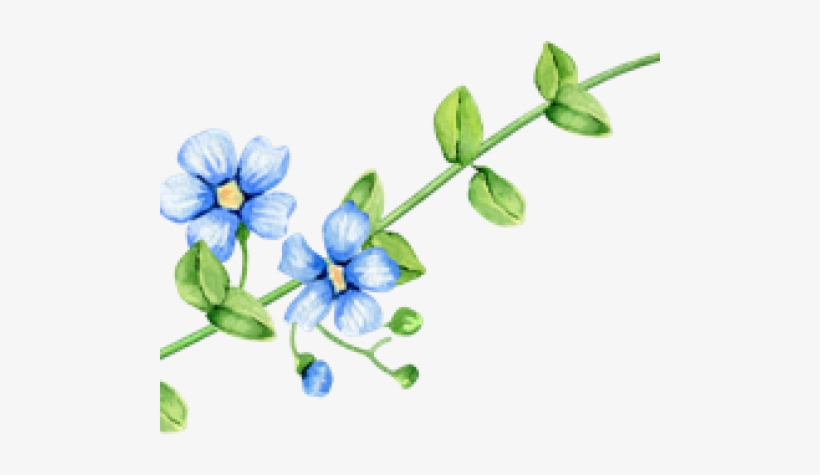 Business Hours - Browallia Speciosa, transparent png download