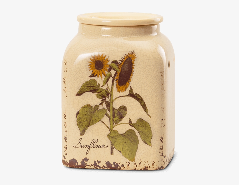 Rustic Sunflower Scentsy Warmer - New Fall Scentsy Warmers 2018, transparent png download