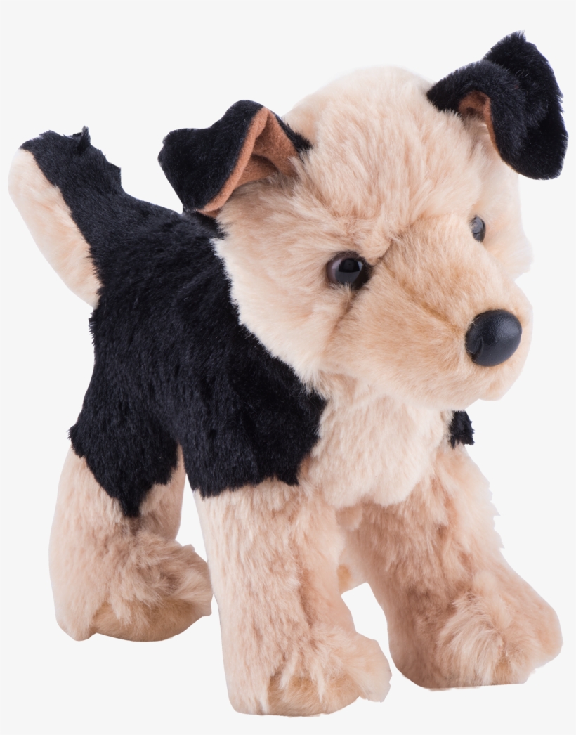 Wire Hair Fox Terrier, transparent png download