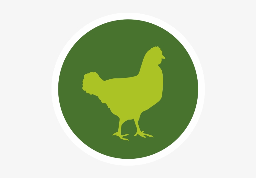 Chicken - Rooster And Chick Dad And Baby Matching Shirt And Onesie, transparent png download