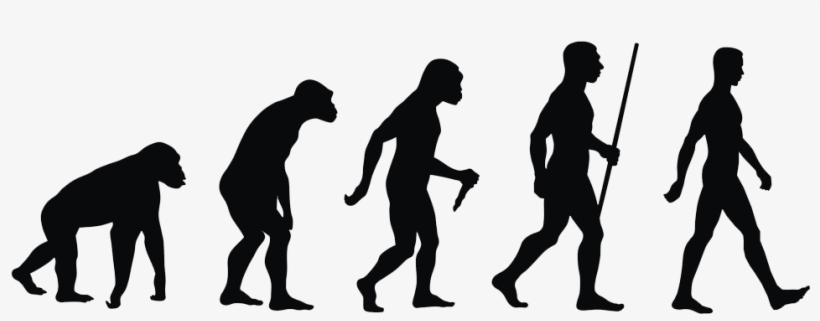Human Nutrition Needs - Human Evolution, transparent png download