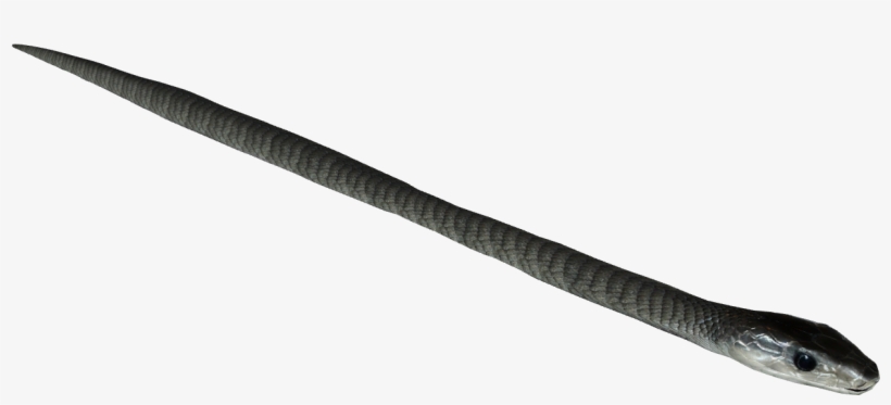 Vf-blackmamba - Sennheiser Mkh 416, transparent png download