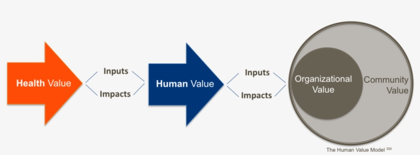 Human Value Is Informed By Inputs That Define Environments - 社会 保険 随時 改定, transparent png download