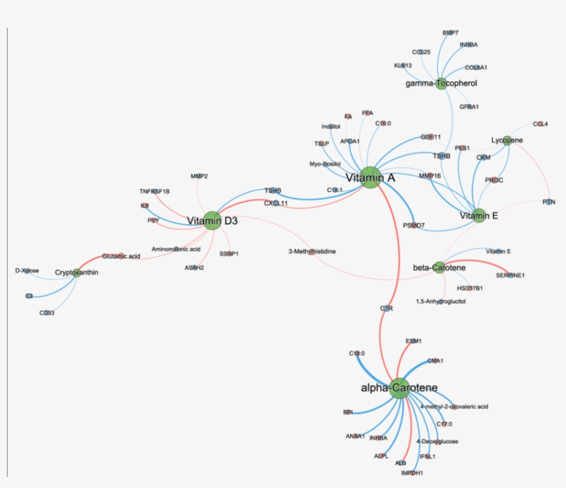 Micronutrient Correlation Network Visualizations Of - Correlation And Dependence, transparent png download