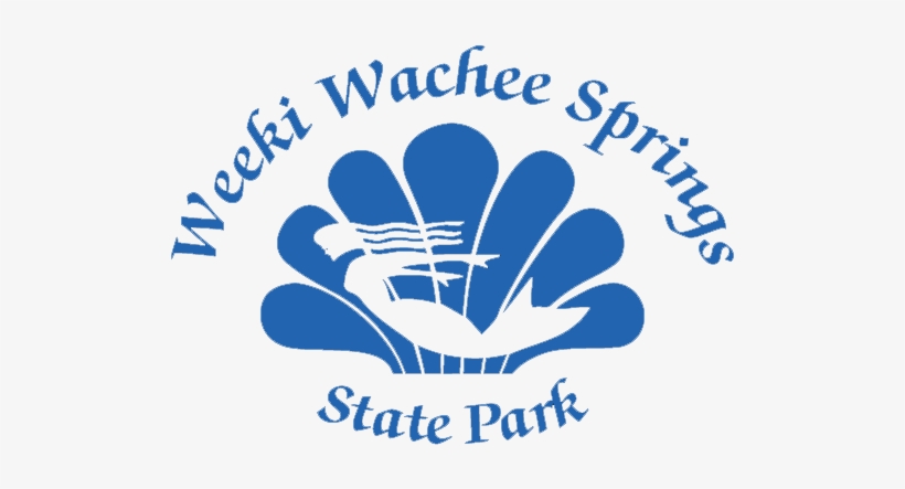 The Little Mermaid 2018 Live Action Movie - Weeki Wachee Springs Logo, transparent png download