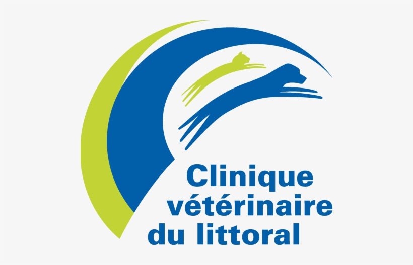 Pour Un Chien Heureux Et En Santé - Route 1 Antiques, transparent png download