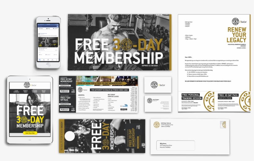 Gold's Gym Socal - Golds Gym, transparent png download