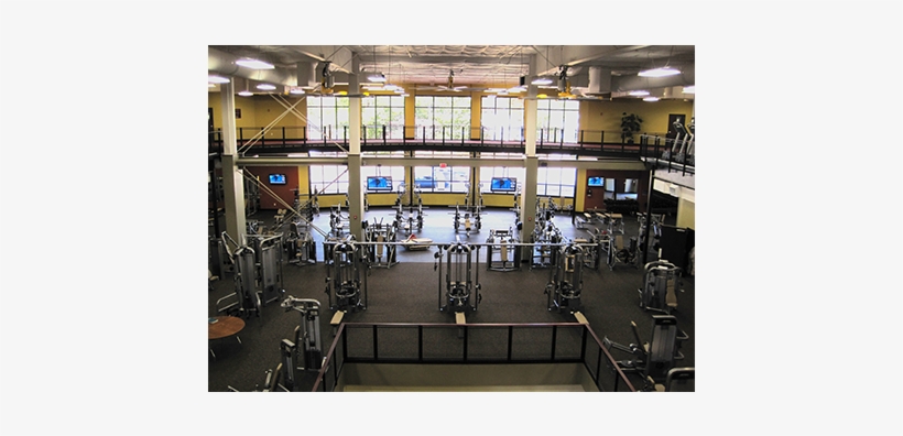 Gym/golds Gym Forest - Golds Gym Forest Acres, transparent png download