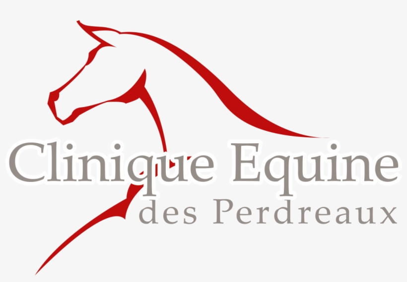 Logo Clinique Equin Copie 131205 - Calligraphy, transparent png download