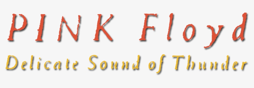Delicate Sound Of Thunder Image - Pink Floyd Delicate Sound Of Thunder Font, transparent png download