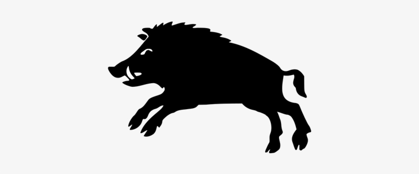 Boar Black And White - Chinese Zodiac Boar, transparent png download