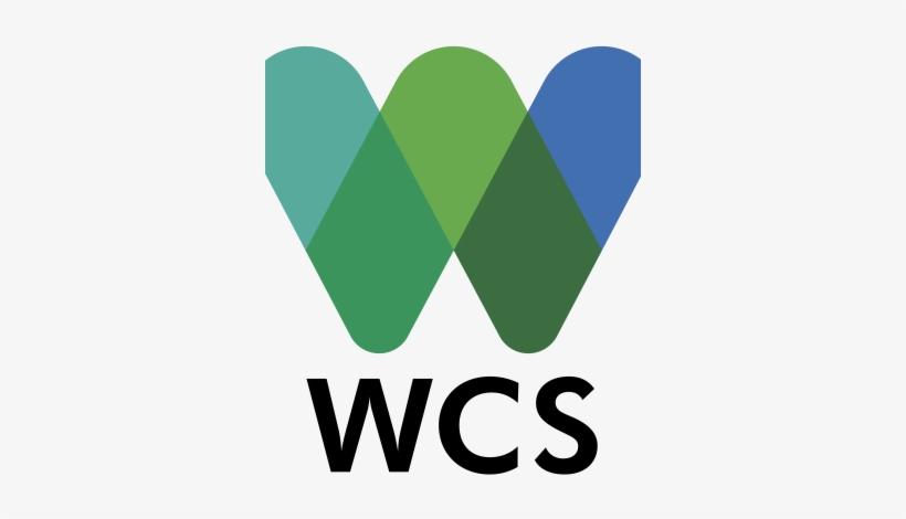 Rosenbaum, Howard - Wildlife Conservation Society Png, transparent png download