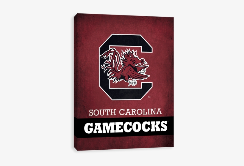 South Carolina Gamecocks Pride Logo - University Of South Carolina, transparent png download