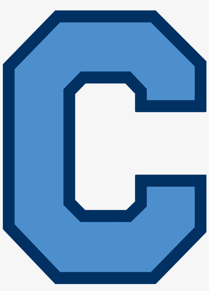 Gamecocks Baseball Clipart - Citadel Athletics, transparent png download