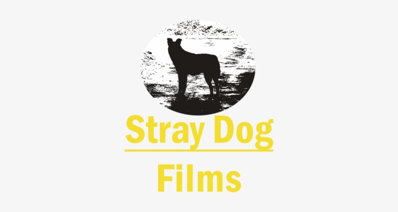 Stray Dog Films - Film, transparent png download