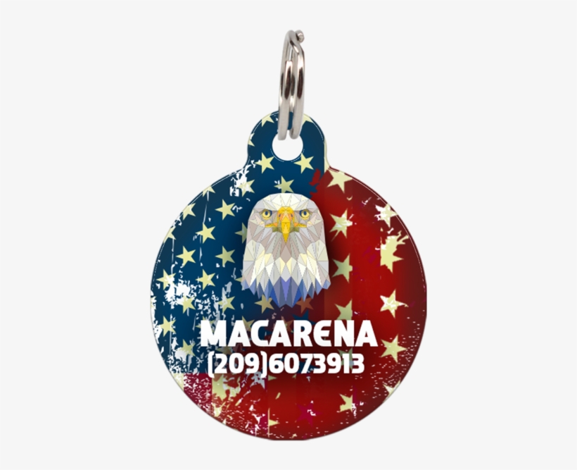 Tableau Animaux Aigle 50x50 Declikdeco, transparent png download