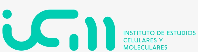 Logo Icm Modelo 1 Verde-01 - Graphic Design, transparent png download
