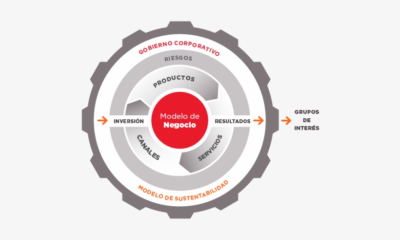 Our Transformation Process - Graphic Design, transparent png download