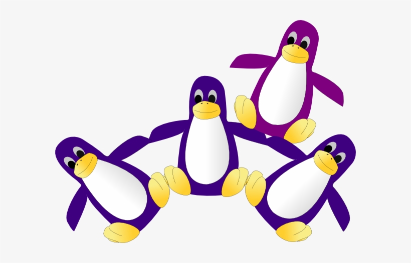 Penguin202, transparent png download