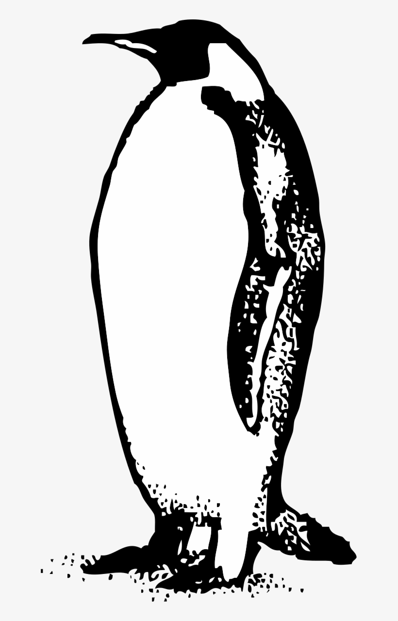 Penguin Clipart By Johnny Automatic - Penguin Clip Art, transparent png download