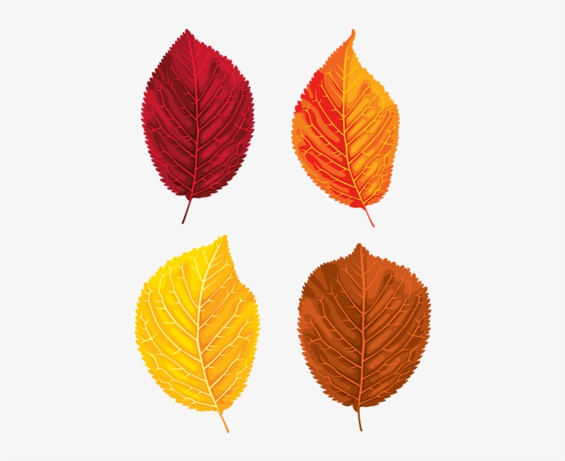 Fall Leaves Set Clipart Png Image - Clip Art, transparent png download