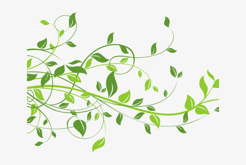 Leaves Clipart Frame Png - Light In The Window Mitford Years, transparent png download