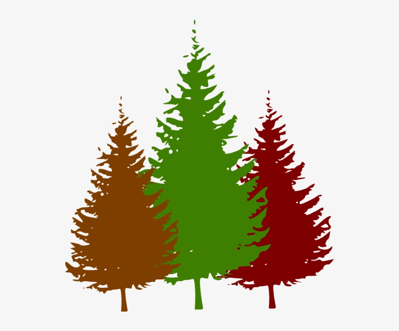 How To Set Use Forest View Logo 3 Clipart - Tree White Silhouette Vector, transparent png download