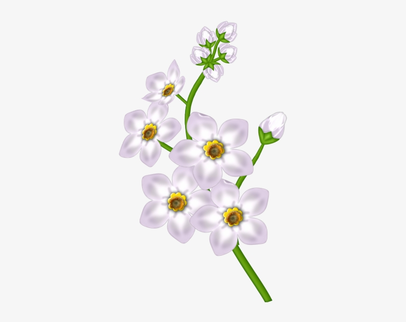 This Png Image - Clip Art, transparent png download