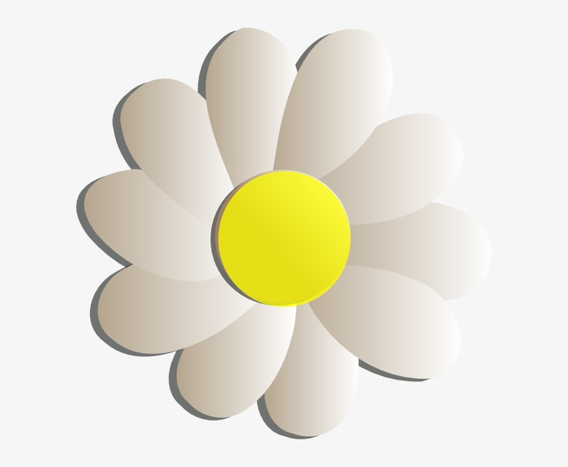 Daisy Day Care Daisy Clipart Png For Web - Flower, transparent png download