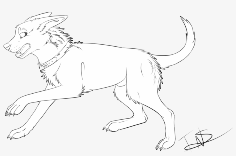 Dog Line Drawing - Line Art, transparent png download