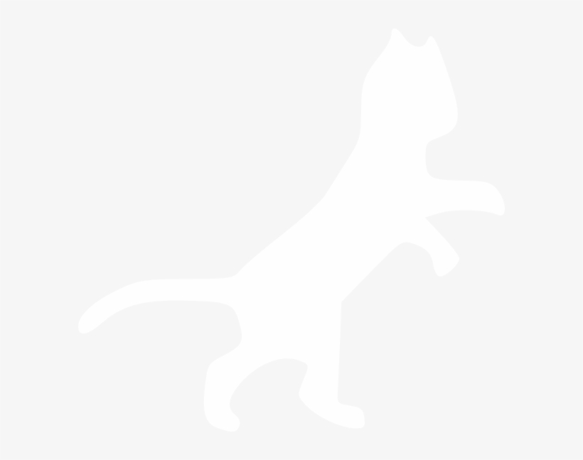 Drawn Cat Transparent - Cat White Vector Png, transparent png download