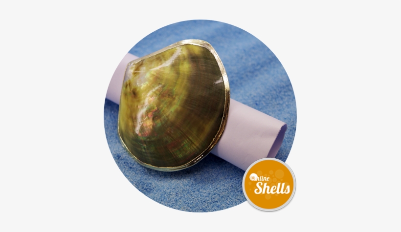 Silver Edge Napkin Ring - Napkin Ring, transparent png download
