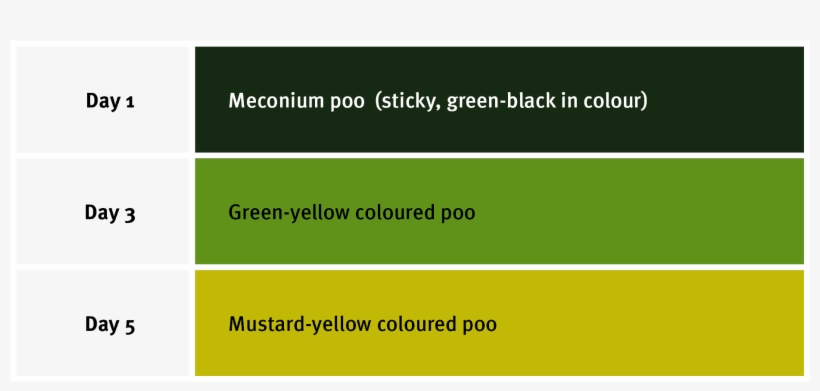 Baby Poo Colour Guide - Infant, transparent png download