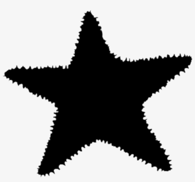 Macy's North Star Strategy, transparent png download