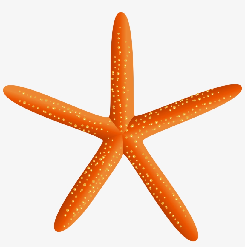 Starfish Silhouette Png, transparent png download