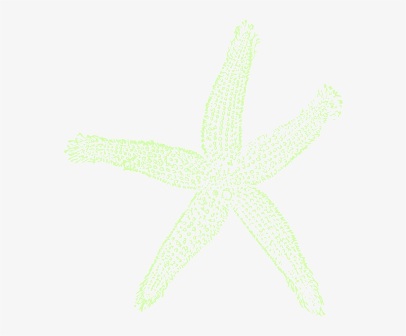 Single Starfish Clipart Png For Web - Private Listing For Pam 2 Pair Custom Angela Style, transparent png download