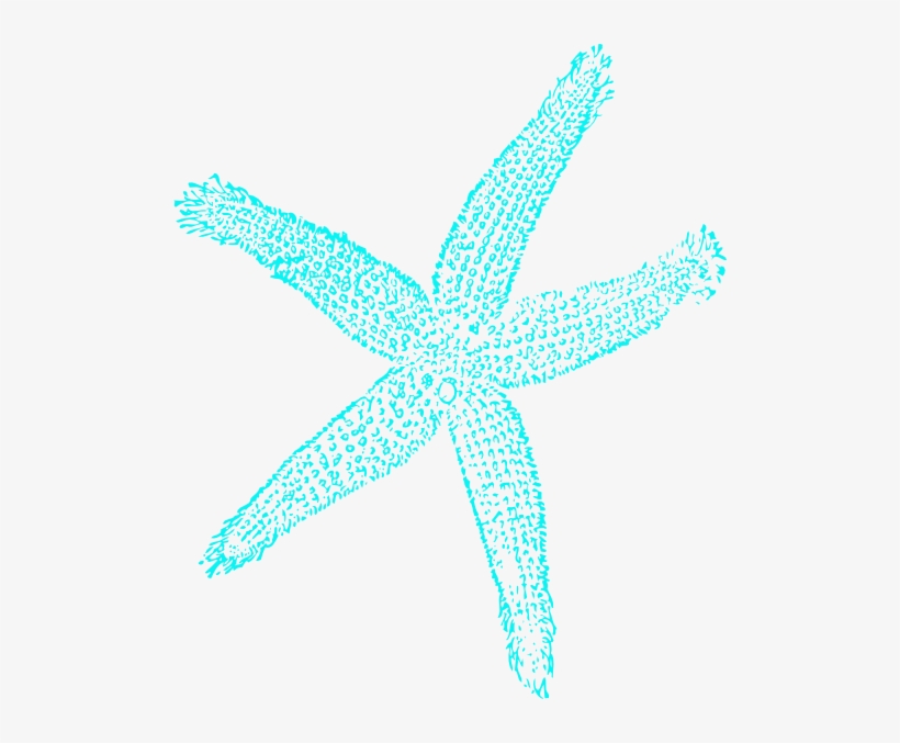 Drawn Starfish Transparent - Gold Or Silver Metallic Shoe Upgrade, Gold Silver Bridal, transparent png download