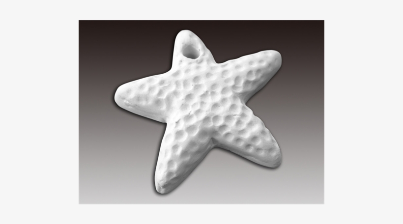 Add-ons Starfish Bead//20 Spo - Starfish, transparent png download