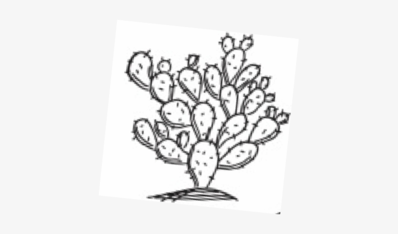Doodle Cactus - Cactus, transparent png download