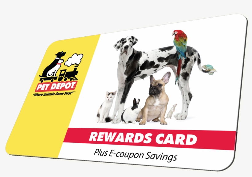 Store Hours - Group Of Pets Standing In Front Of W Throw Blanket, transparent png download