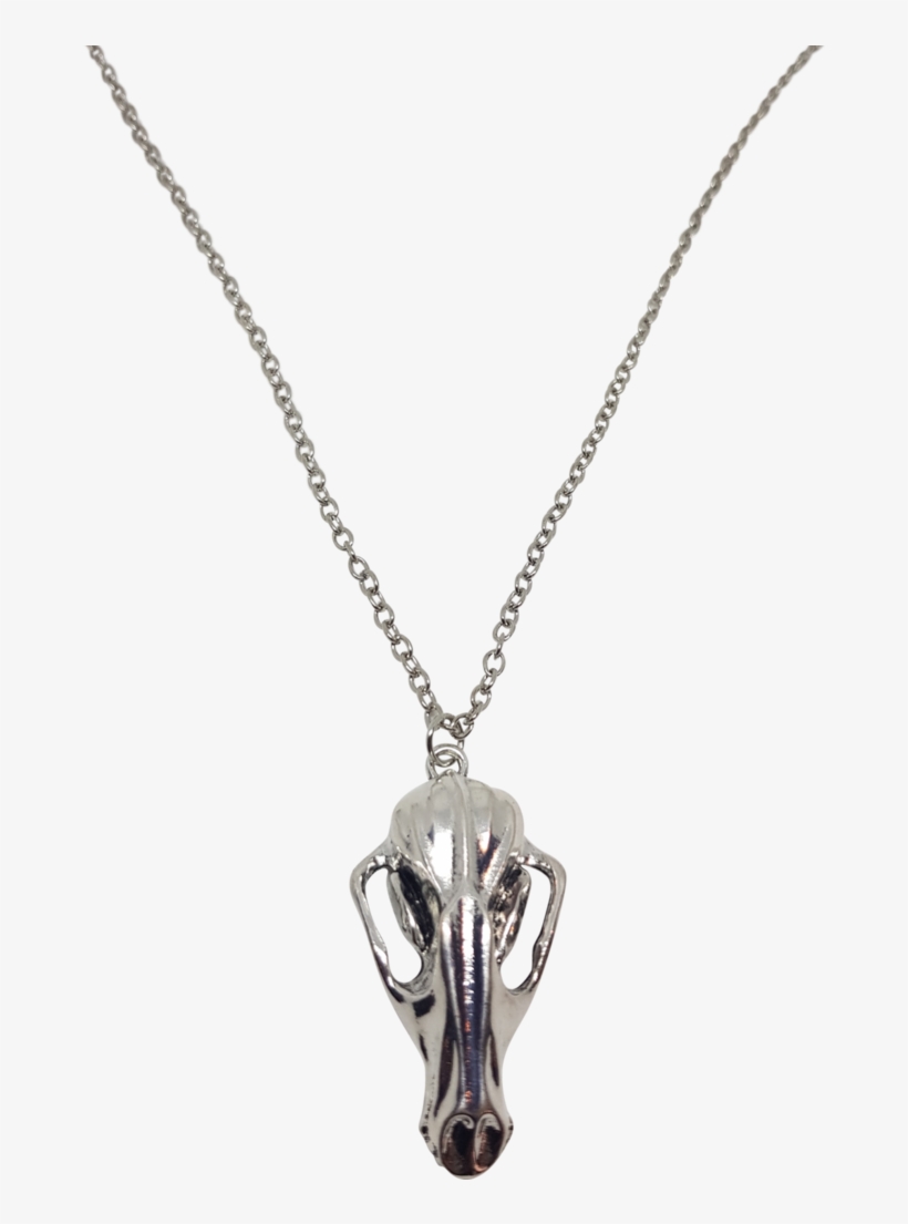 Wolf Skull Necklace - Odd Mountain Oddities, transparent png download