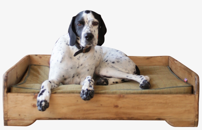 Handmade - Wooden - Dog Bed - Hunt And Wilson - Dog, transparent png download