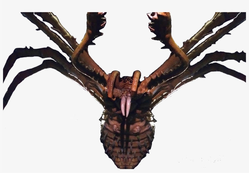 Motherlongless - Kong Skull Island Mother Longlegs, transparent png download