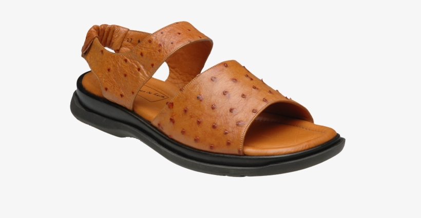 Productos De Avestruz, transparent png download