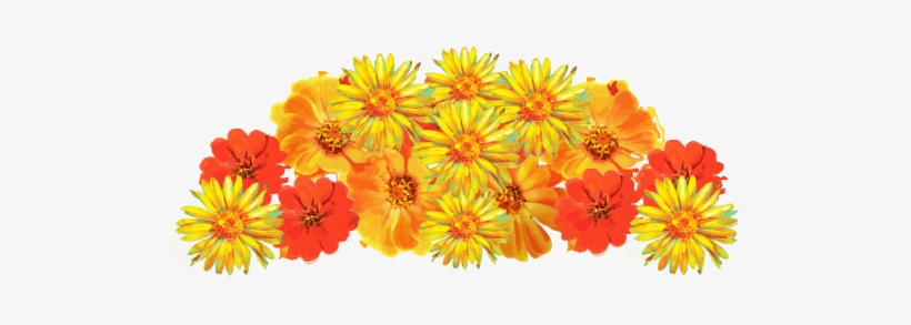 Boiron Medicinal Garden - Medicine, transparent png download