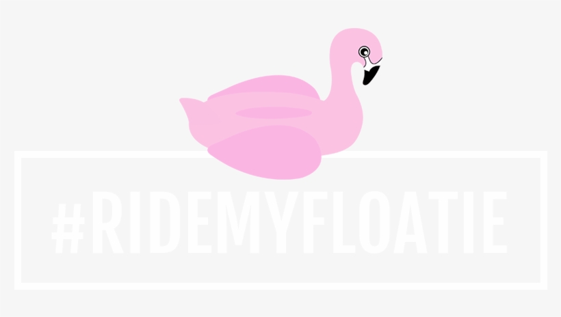 Shell Floatie - Sabe Ler Um Pingo É Letra, transparent png download