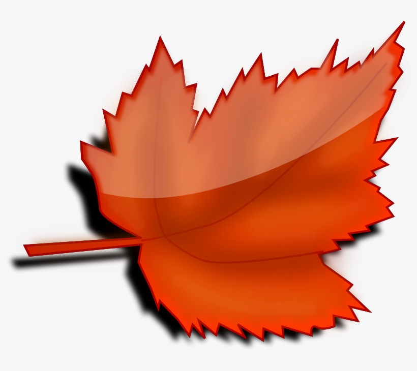 How To Set Use Leaf 5 Icon Png - Autumn Leaf Clipart, transparent png download